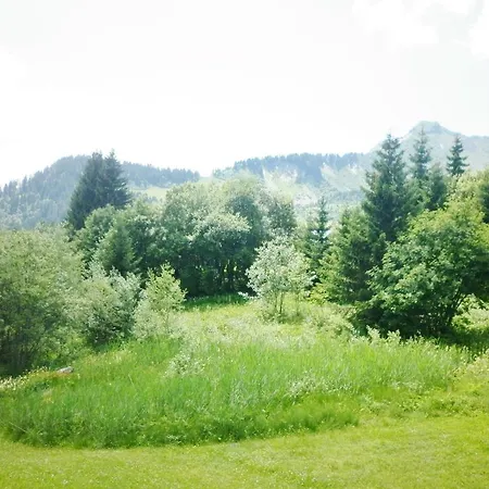 Les Terrasses Du Mont-blanc
